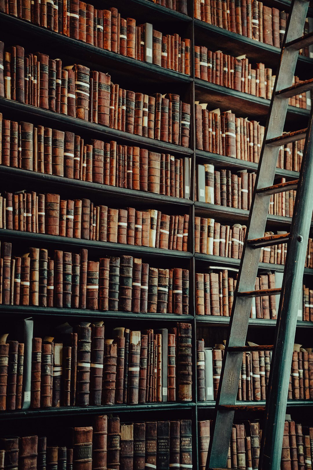 archive library shelves